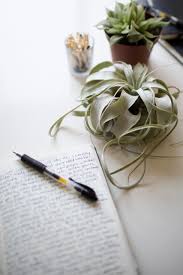 collaborative writing // écriture collaborative